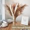 130PCS Dried Pampas Grass Bulks Fall Decor, 18" Natural Bunny Tail Grass, Boho Rustic Bouquet, Fall Decorations for Home, Farmhouse Table Vase & Wedding Decor
